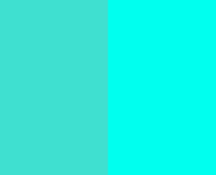 Chameleon Turquoise Blue